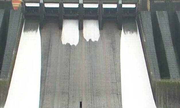 ಕೊಯ್ನಾ ಜಲಾಶಯದಿಂದ ಕೃಷ್ಣಾ ನದಿಗೆ 10 ಸಾವಿರ ಕ್ಯೂಸೆಕ್ ನೀರು ಬಿಡುಗಡೆ