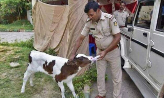 “ಗೋ ಪ್ರೇಮಿ” ಪೊಲೀಸ್ ಅಧಿಕಾರಿ ಮಹಮ್ಮದ್ ಹೃದಯಾಘಾತದಿಂದ ನಿಧನ