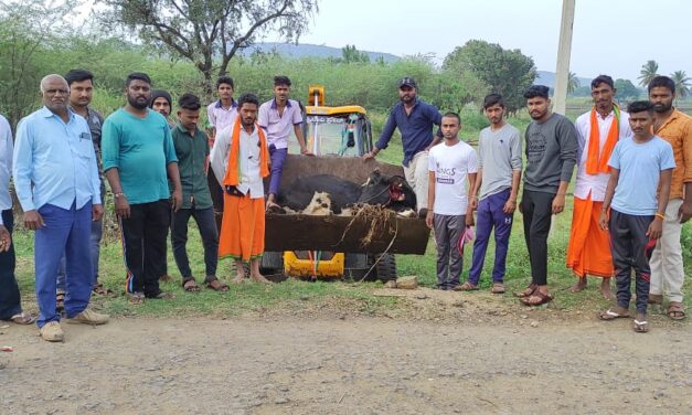 ಗೋಕಾಕ್ : ಶ್ರೀರಾಮಸೇನೆ ಕಾರ್ಯಕರ್ತರಿಂದ ಉಳಿಯಿತು ಗೋವಿನ ಜೀವ
