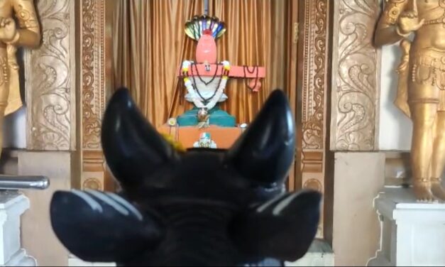 ಗಣರಾಜ್ಯೋತ್ಸವ ಅಂಗವಾಗಿ ಶಿವನಿಗೆ ವಿಶೇಷ ಅಲಂಕಾರ