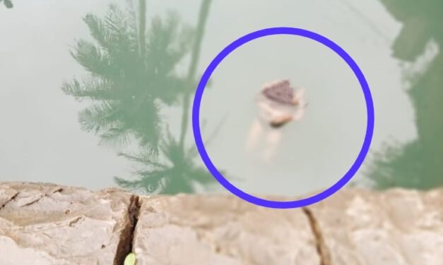 BELAGAVI : ರುಂಡವಿಲ್ಲದ ಮೃತದೇಹ ಬಾವಿಯಲ್ಲಿ ಪತ್ತೆ