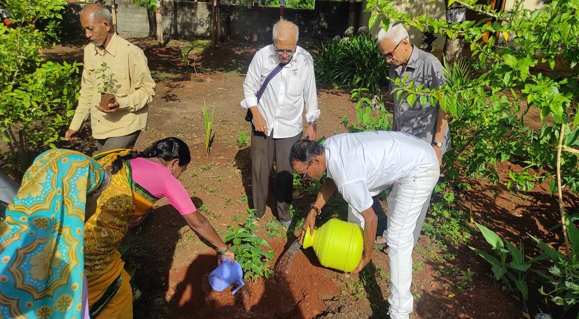 ವಿಶ್ವ ಪರಿಸರ ದಿನಾಚಾರಣೆ ಅಂಗವಾಗಿ‌ ಪ್ರಾಣವಾಯು : ತುಳಸಿ‌ ಹಾಗೂ ಪಾರಿಜಾತ ಸಸಿಗಳ ಬಳಕೆ