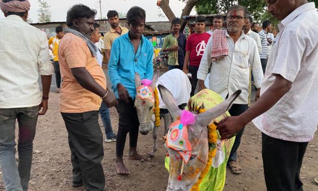 BELAGAVI : ಮಳೆಗಾಗಿ ಕತ್ತೆಗಳ ಮದುವೆ ಮಾಡಿಸಿದ ಗ್ರಾಮಸ್ಥರು