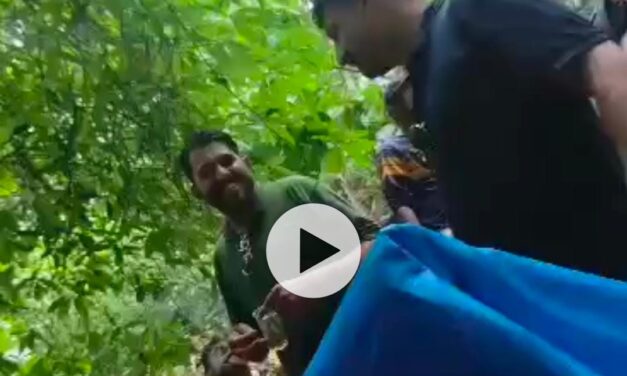 ಜಲಪಾತದ ಕೆಳಗೆ ಸರ್ಕಾರಿ ಅಧಿಕಾರಿಗಳ ಎಣ್ಣೆ ಪಾರ್ಟಿ ; ಪ್ರಕರಣ ದಾಖಲು