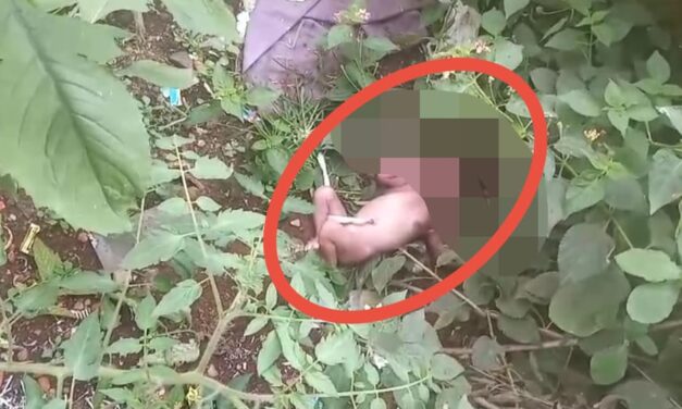 ಹುಟ್ಟಿದ ಮಗುವನ್ನು ರಸ್ತೆಗೆ ಎಸೆದ ಕಿರಾತಕರು ; ನರಳಾಡಿ ಪ್ರಾಣಬಿಟ್ಟ ಕಂದಮ್ಮ