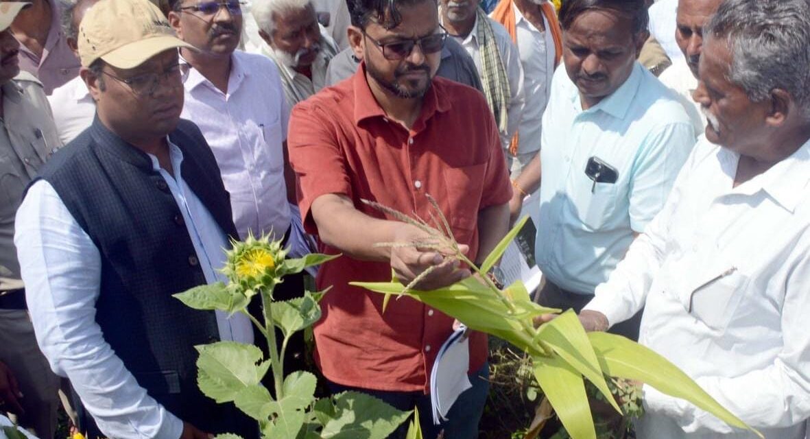 ಬರ ಅಧ್ಯಯನ ನಡೆಸಿದ ಕೇಂದ್ರ ತಂಡ ; ಎಷ್ಟು ಕೋಟಿ ₹ ಹಾನಿ ಸಂಭವಿಸಿದ್ದು ಗೊತ್ತಾ..?