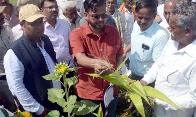 ಬರ ಅಧ್ಯಯನ ನಡೆಸಿದ ಕೇಂದ್ರ ತಂಡ ; ಎಷ್ಟು ಕೋಟಿ ₹ ಹಾನಿ ಸಂಭವಿಸಿದ್ದು ಗೊತ್ತಾ..?