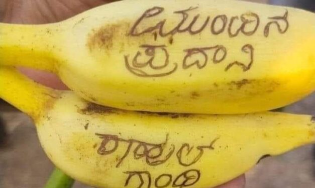 ರಾಹುಲ್ ಗಾಂಧಿ ಅಭಿಮಾನಿ ಇಟ್ಟ ಬೇಡಿಕೆಗೆ ವರ ನೀಡುವನಾ ಭಗವಂತ..? Moye Moye ಎಂದ ನೆಟ್ಟಿಗರು