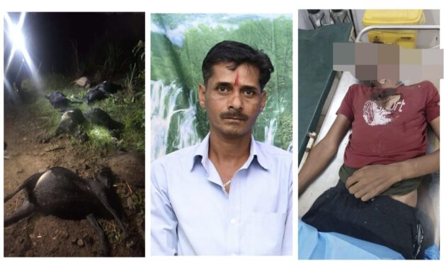 ಸಿಡಿಲಿಗೆ ಇಬ್ಬರು ರೈತರು ಸೇರಿ 12 ಕುರಿ ಸಾವು