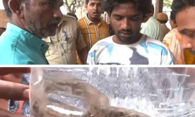 Video – ಕಚ್ಚಿದ ಹಾವು ಹಿಡ್ಕೊಂಡು ಆಸ್ಪತ್ರೆಗೆ ಬಂದ ; ಚಿಕಿತ್ಸೆ ತಗೊಂಡು ವಾಪಸ್ ಹೋದ