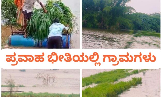 ಗ್ರಾಮಗಳನ್ನು ಸುತ್ತುವರಿಯುತ್ತಿರುವ ಕೃಷ್ಣಾ ನದಿ ನೀರು ; ಆತಂಕದಲ್ಲಿ ಜನರು