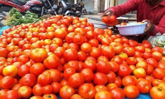 ಬೆಳಗಾವಿಯಲ್ಲಿ ನೂರರ ಗಡಿ ದಾಟಿದ ಟೊಮ್ಯಾಟೊ ಬೆಲೆ