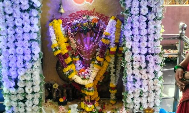 ಸಂಭ್ರಮದಿಂದ ನಾಗರಪಂಚಮಿ ಆಚರಣೆ ; ನಾಗದೇವರಿಗೆ ಹಾಲೆರೆದು ಸಂಭ್ರಮಿಸಿದ ಜನ