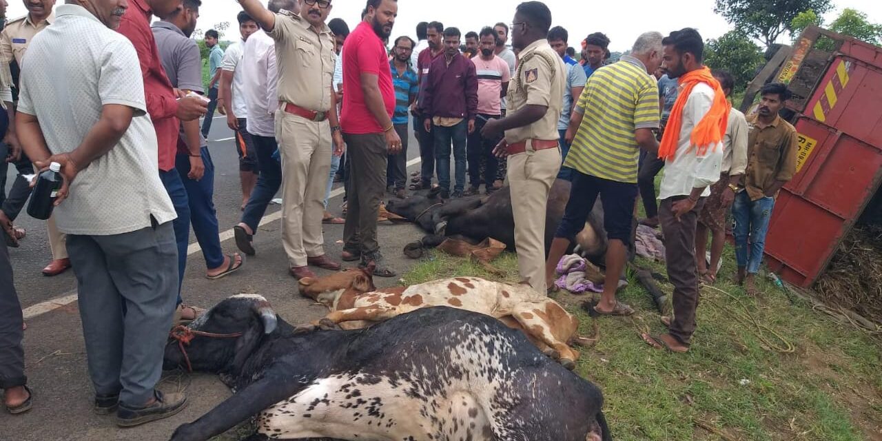 ಅಕ್ರಮವಾಗಿ ಗೋವು ಸಾಗಿಸುತ್ತಿದ್ದ ವಾಹನ ಪಲ್ಟಿ ; ಮೂರು ಕರು ಸಾವು