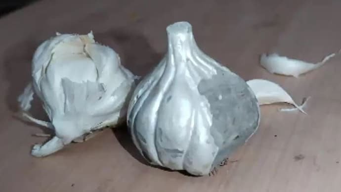 Video – ಮಾರುಕಟ್ಟೆಯಲ್ಲಿ ಸಿಮೆಂಟ್ ಬೆಳ್ಳುಳ್ಳಿ ಮಾರಾಟ ; ಎಚ್ಚರ ಗ್ರಾಹಕರೆ ಎಚ್ಚರ…!