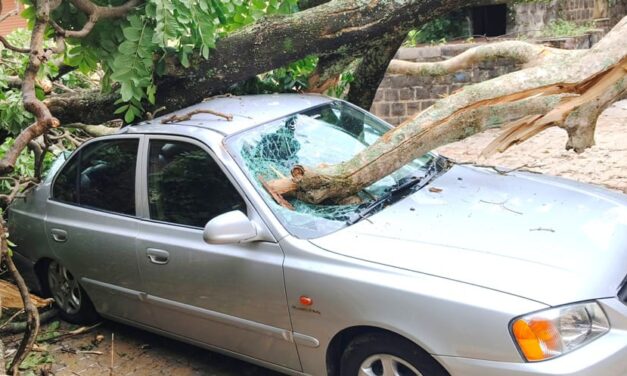 ಬೃಹತ್ ಮರ ಬಿದ್ದು ಕಾರು ಜಖಂ ; ತಪ್ಪಿದ ಅನಾಹುತ