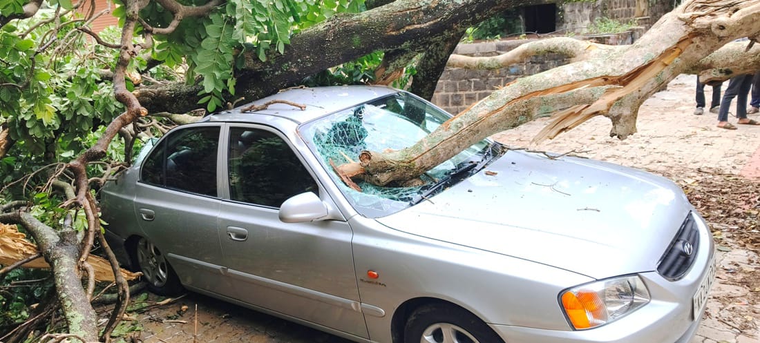 ಬೃಹತ್ ಮರ ಬಿದ್ದು ಕಾರು ಜಖಂ ; ತಪ್ಪಿದ ಅನಾಹುತ