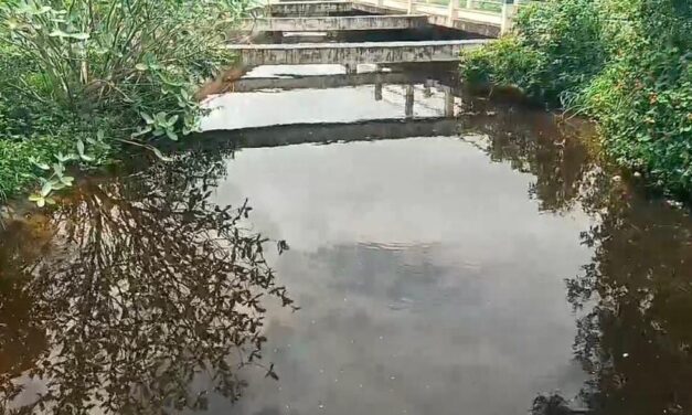 ಬೆಳಗಾವಿ : ಏತ ನೀರಾವರಿ ಕಾಲುವೆಗೆ ಕೆಮಿಕಲ್ ಮಿಶ್ರಿತ ನೀರು ; ಕಣ್ಮುಚ್ಚಿ ಕುಳಿತ ಅಧಿಕಾರಿಗಳು