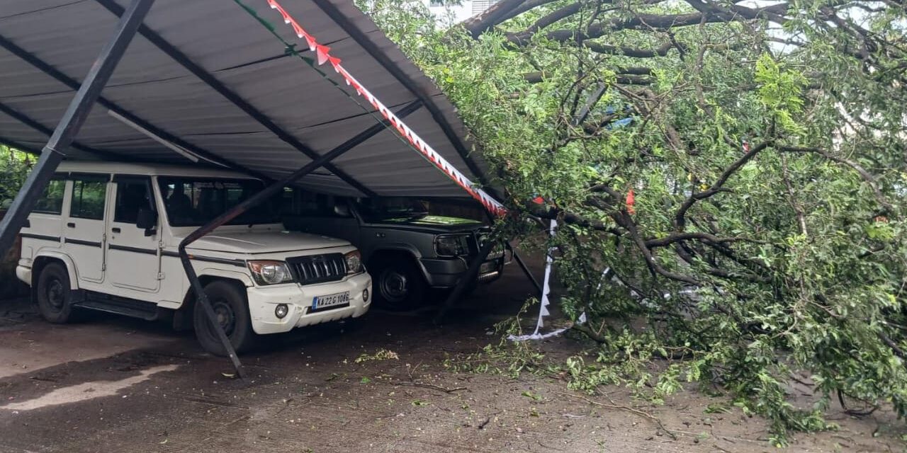 ಬೆಳಗಾವಿ : ಮರ ಬಿದ್ದು ವಾಣಿಜ್ಯ ತೆರಿಗೆ ಕಚೇರಿ ವಾಹನಗಳು ಜಖಂ