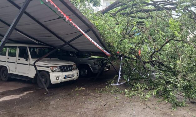 ಬೆಳಗಾವಿ : ಮರ ಬಿದ್ದು ವಾಣಿಜ್ಯ ತೆರಿಗೆ ಕಚೇರಿ ವಾಹನಗಳು ಜಖಂ