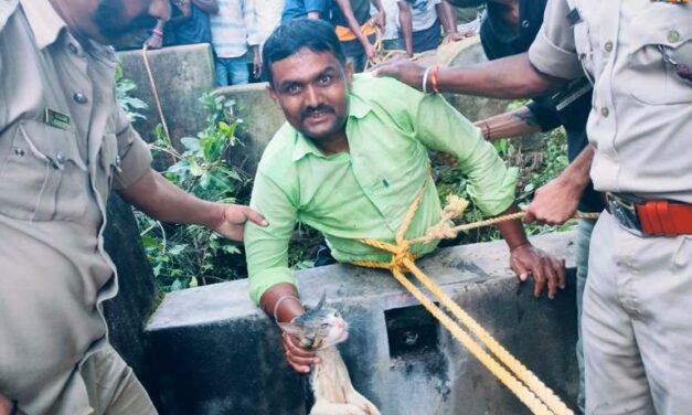 ಬೈಲಹೊಂಗಲ : 150 ಅಡಿ ಪಾಳು ಬಾವಿಗೆ ಬಿದ್ದ ಬೆಕ್ಕನ್ನು ರಕ್ಷಿಸಿದ ಯುವಕ