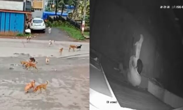 ನಾಯಿಯ ಮೇಲೆ ಅತ್ಯಾಚಾರ ಎಸಗಿದ ಕಾಮುಕ ಅರೆಸ್ಟ್