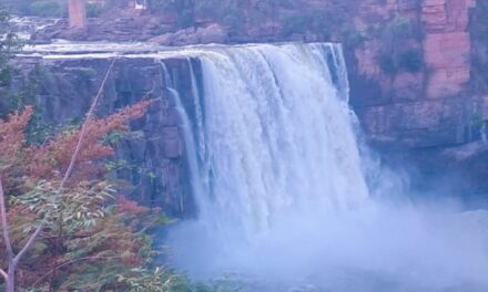 ಮೈದುಂಬಿ ಹರಿಯುತ್ತಿದೆ ಗೋಕಾಕ್ ಜಲಪಾತ