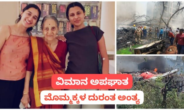 ಅಜ್ಜಿಯ ಭೇಟಿಗೆ ಬಂದ ಇಬ್ಬರು ಮೊಮ್ಮಕ್ಕಳು ವಿಮಾನ ಅಪಘಾತದಲ್ಲಿ ದುರಂತ ಸಾವು