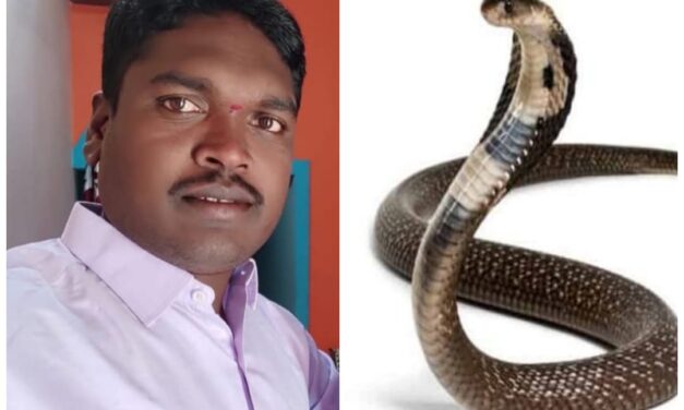 ಜಮೀನಿನಲ್ಲಿ ಕೆಲಸ ಮಾಡುವಾಗ ಹಾವು ಕಚ್ಚಿ ರೈತ ಸಾವು