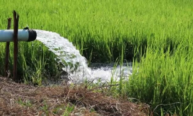 ಕೃಷಿ ಪಂಪ್‌ಸೆಟ್‌ಗಳ ವಿದ್ಯುತ್‌ ಸಂಪರ್ಕಕ್ಕೆ ನವೀಕೃತ ಶೀಘ್ರ ಸಂಪರ್ಕ ಯೋಜನೆ