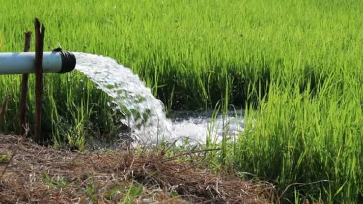 ಕೃಷಿ ಪಂಪ್‌ಸೆಟ್‌ಗಳ ವಿದ್ಯುತ್‌ ಸಂಪರ್ಕಕ್ಕೆ ನವೀಕೃತ ಶೀಘ್ರ ಸಂಪರ್ಕ ಯೋಜನೆ