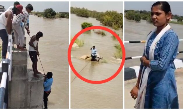 VIDEO – ಪೋಟೋ ‌ನೆಪದಲ್ಲಿ ಗಂಡನನ್ನೇ ಕೃಷ್ಣಾ ನದಿಗೆ ತಳ್ಳಿದ ಪತ್ನಿ ; ಕೊನೆಗೂ ಬದುಕುಳಿದ ಬಡಜೀವ..!