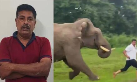 ಆನೆ ಜೊತೆ ಸೆಲ್ಫಿ ತಗೆಯಲು ಹೋಗಿದ್ದವನಿಗೆ ಅರಣ್ಯ ಇಲಾಖೆ ದಂಡ ಹಾಕಿದೆಷ್ಟು..?