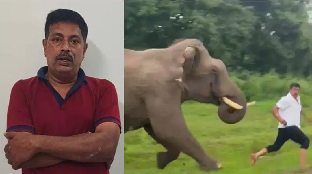ಆನೆ ಜೊತೆ ಸೆಲ್ಫಿ ತಗೆಯಲು ಹೋಗಿದ್ದವನಿಗೆ ಅರಣ್ಯ ಇಲಾಖೆ ದಂಡ ಹಾಕಿದೆಷ್ಟು..?