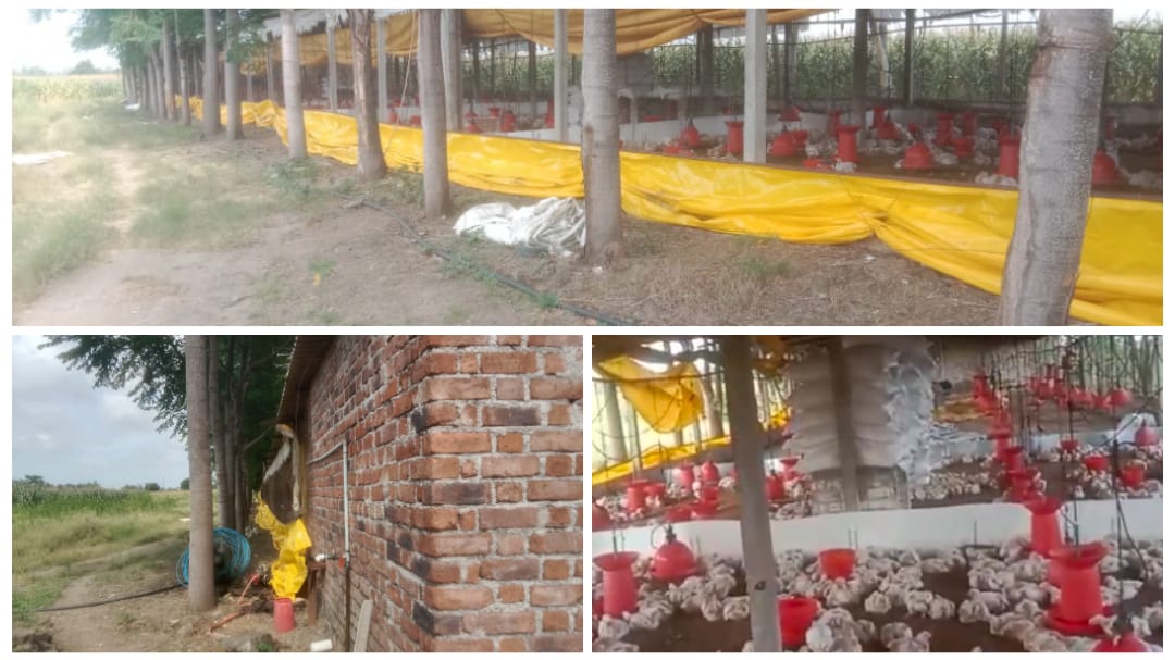 ಅಥಣಿ : ಕೋಳಿಗಳಿಗೆ ಹಾಕುವ ಆಹಾರ ಕದ್ದ ಖದೀಮರು