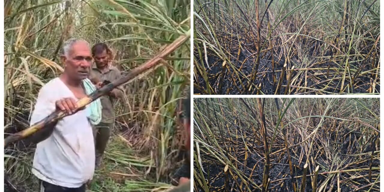 ಅಥಣಿ : ವಿದ್ಯುತ್ ಅವಘಡ ; ಎಂಟು ಎಕರೆ ಕಬ್ಬು ಬೆಳೆ ಸುಟ್ಟು ಕರಕಲು