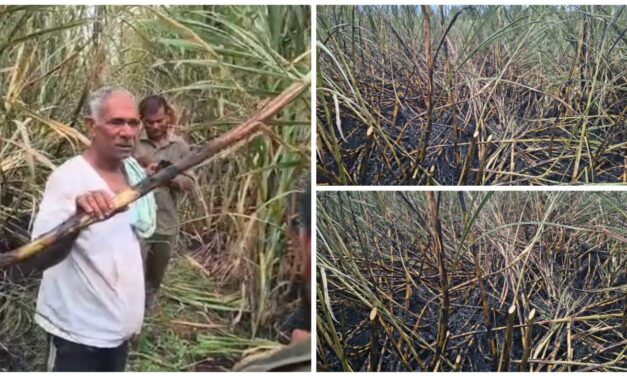 ಅಥಣಿ : ವಿದ್ಯುತ್ ಅವಘಡ ; ಎಂಟು ಎಕರೆ ಕಬ್ಬು ಬೆಳೆ ಸುಟ್ಟು ಕರಕಲು