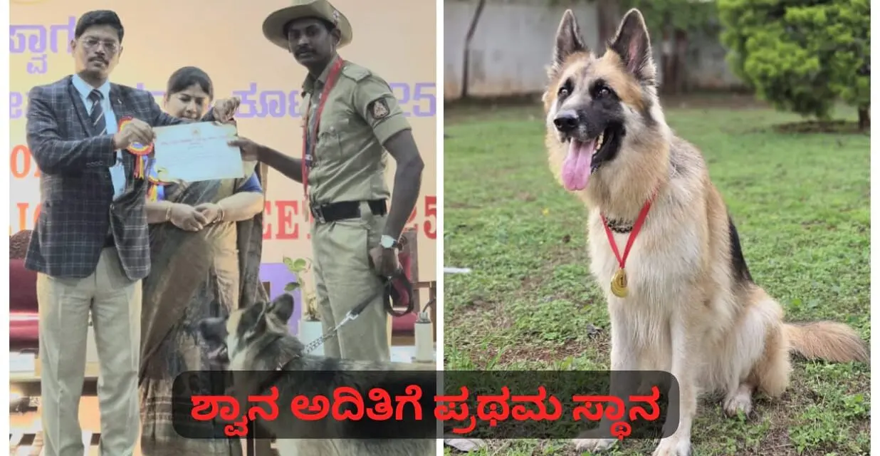 ಬೆಳಗಾವಿ ಶ್ವಾನ ಅದಿತಿಗೆ ಪ್ರಥಮ ಸ್ಥಾನ ; ರಾಷ್ಟ್ರೀಯ ಸ್ಪರ್ಧೆಗೆ ಆಯ್ಕೆ..!
