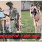 ಬೆಳಗಾವಿ ಶ್ವಾನ ಅದಿತಿಗೆ ಪ್ರಥಮ ಸ್ಥಾನ ; ರಾಷ್ಟ್ರೀಯ ಸ್ಪರ್ಧೆಗೆ ಆಯ್ಕೆ..!