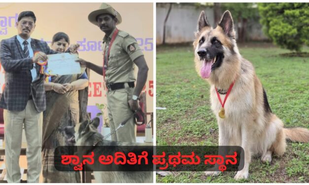 ಬೆಳಗಾವಿ ಶ್ವಾನ ಅದಿತಿಗೆ ಪ್ರಥಮ ಸ್ಥಾನ ; ರಾಷ್ಟ್ರೀಯ ಸ್ಪರ್ಧೆಗೆ ಆಯ್ಕೆ..!