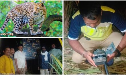 ಅಥಣಿ : ಚಿರತೆ ಭೀತಿಯಲ್ಲಿ ಝಂಜರವಾಡದ ಜನ ; ಏನು ಹೇಳಿದ್ರು ಅರಣ್ಯ ಇಲಾಖೆ ಅಧಿಕಾರಿಗಳು…?
