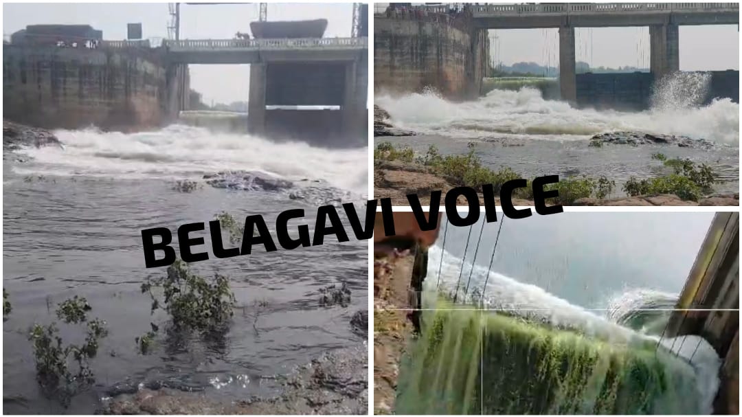 BREAKING : ಹಿಪ್ಪರಗಿ ಆಣೆಕಟ್ಟು ಗೇಟಿಗೆ ಹಾನಿ ; ಹರಿದು ಹೋಗುತ್ತಿರುವ ಅಪಾರ ನೀರು