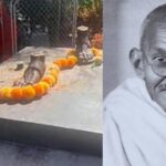 ಮಹಾತ್ಮ ಗಾಂಧಿ ಪ್ರತಿಮೆ ಕಳ್ಳತನ