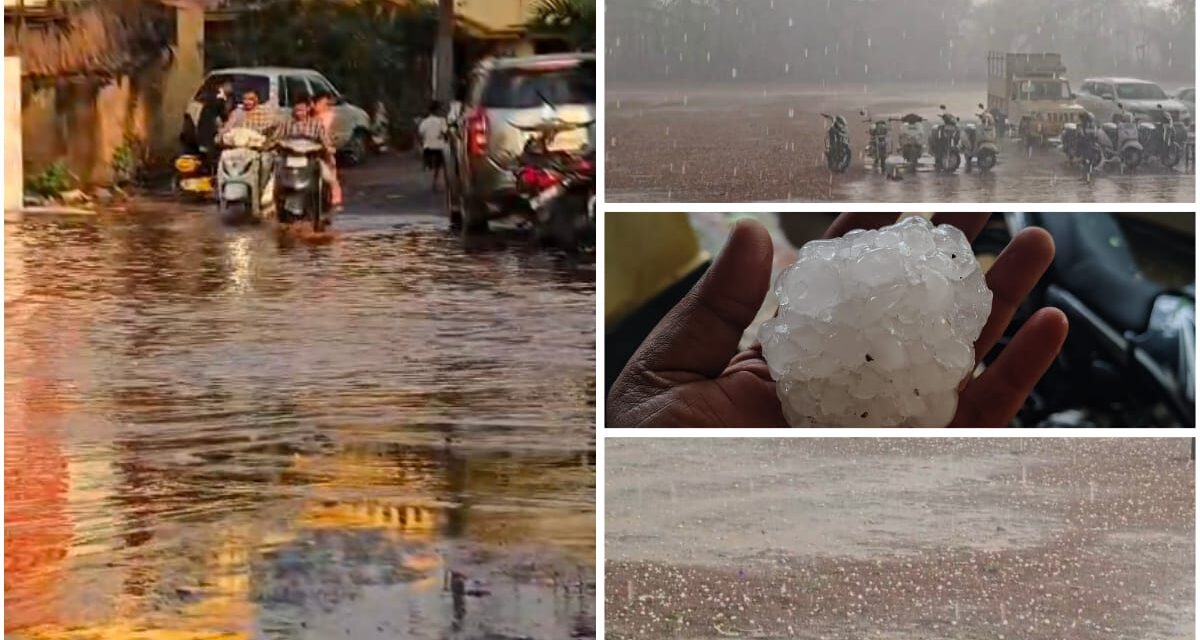 ಧಾರಾಕಾರ ಮಳೆಗೆ ಬೆಳಗಾವಿ ತತ್ತರ ; ಅಕಾಲಿಕ ಮಳೆಯಿಂದ ಸಂಕಷ್ಟದಲ್ಲಿ ಅನ್ನದಾತ..!