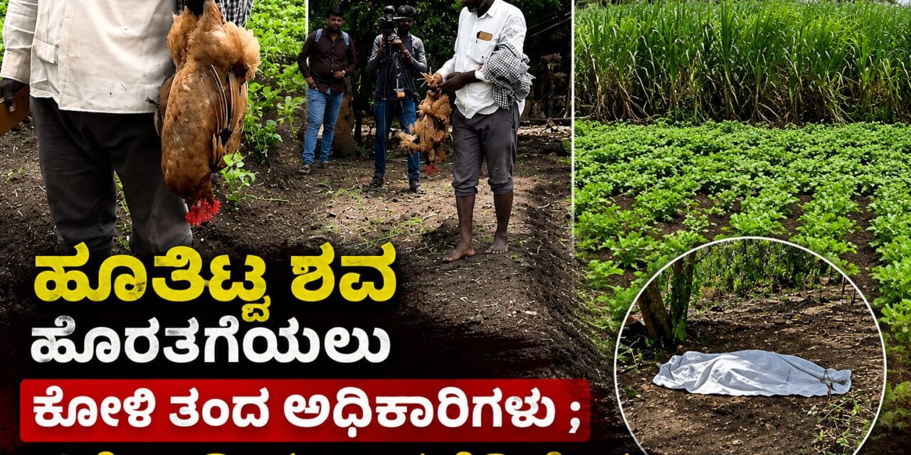ಹೂತಿಟ್ಟ ಶವ ಹೊರತಗೆಯಲು ಕೋಳಿ ತಂದ ಅಧಿಕಾರಿಗಳು ; ಚಿಕ್ಕೋಡಿಯಲ್ಲಿ‌ ನಡೆದಿದ್ದೇನು…?