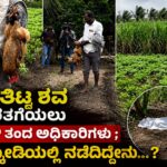 ಹೂತಿಟ್ಟ ಶವ ಹೊರತಗೆಯಲು ಕೋಳಿ ತಂದ ಅಧಿಕಾರಿಗಳು ; ಚಿಕ್ಕೋಡಿಯಲ್ಲಿ‌ ನಡೆದಿದ್ದೇನು…?