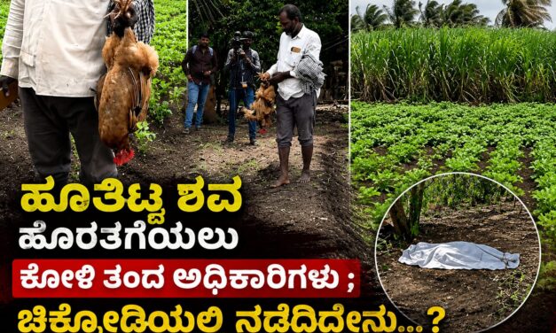 ಹೂತಿಟ್ಟ ಶವ ಹೊರತಗೆಯಲು ಕೋಳಿ ತಂದ ಅಧಿಕಾರಿಗಳು ; ಚಿಕ್ಕೋಡಿಯಲ್ಲಿ‌ ನಡೆದಿದ್ದೇನು…?
