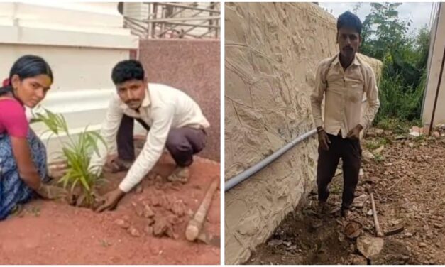 ಕುಡಿದು ಗಲಾಟೆ ಮಾಡಿದ್ದ ಆರೋಪಿಗೆ ಸಸಿ ನೆಡುವ ಶಿಕ್ಷೆ ವಿಧಿಸಿದ ಕೋರ್ಟ್